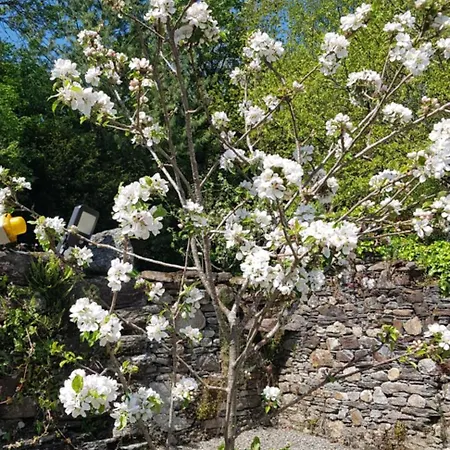 Pink Granite Garden Of Ireland