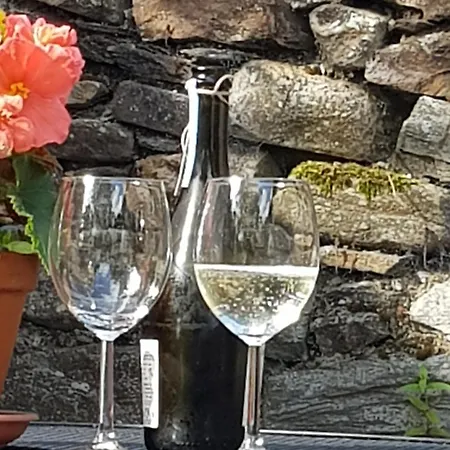 Pink Granite Garden Of Ireland Πανσιόν Tinahely