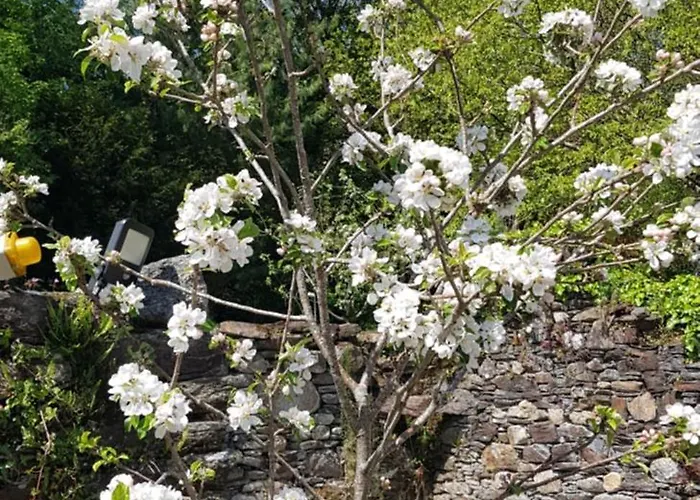 Pink Granite Garden Of Ireland