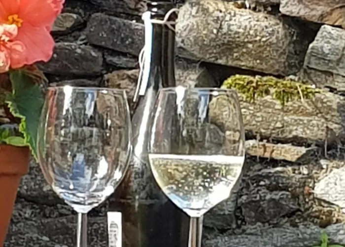 Pink Granite Garden Of Ireland Gasthuis Tinahely